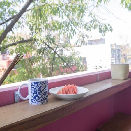 Habitacion Privada Para Disfrutar En La Ciudad De Mexico Dış mekan fotoğraf